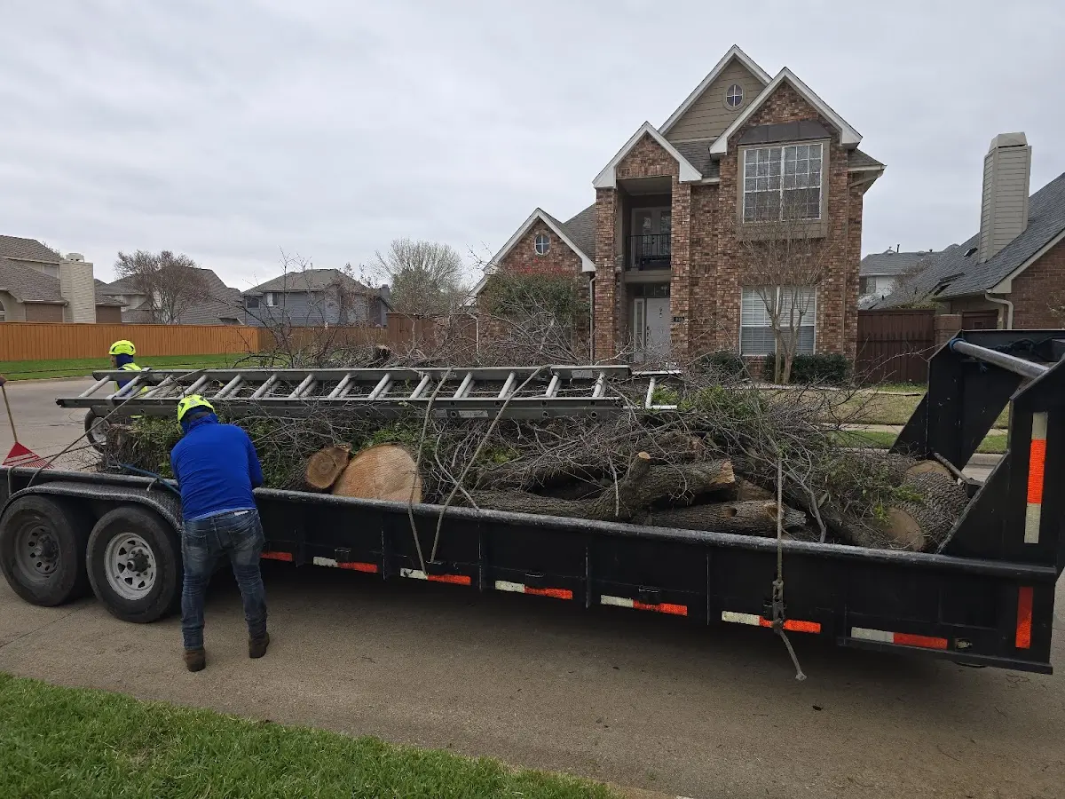 Expert Lot Clearing with proper safety equipment in Adel